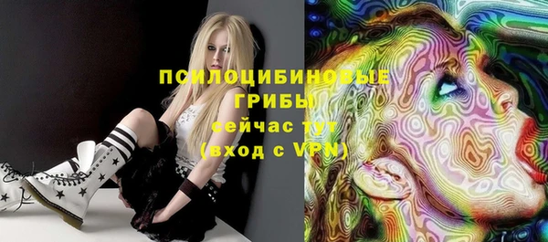 прущая мука Лабытнанги