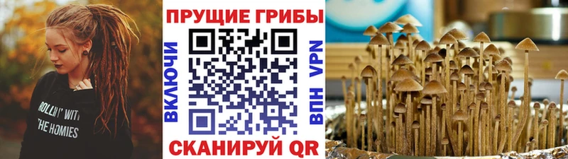 Галлюциногенные грибы GOLDEN TEACHER Арзамас
