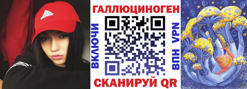 где продают   Арзамас  Псилоцибиновые грибы прущие грибы 